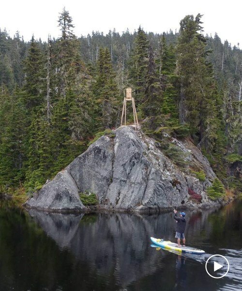 crafted from reclaimed cedar & pine, deadwood bear cache gathers campers in canada forest